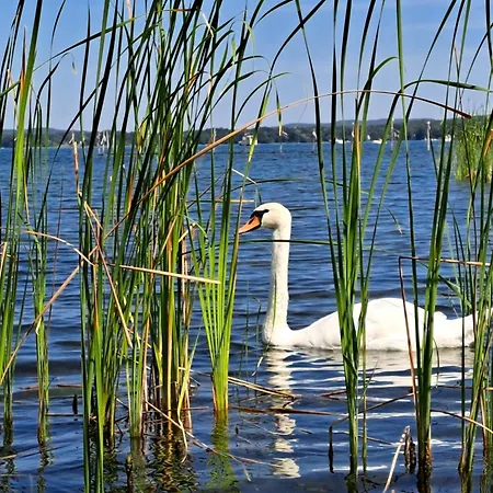 Apartman Strandferienwohnung Am Scharmuetzelsee