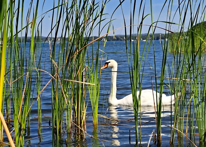 Apartman Strandferienwohnung Am Scharmuetzelsee